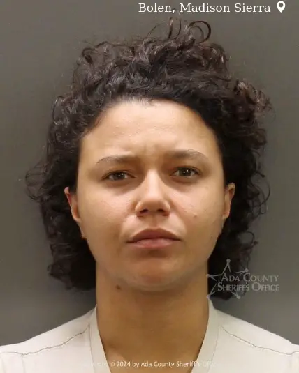 Madison Bolen booked for Theft of Property, Labor or Services by Means ...